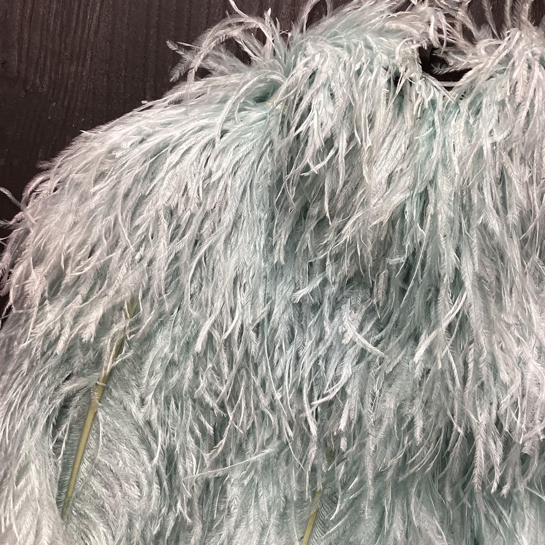 Sassyboo Sretsis ミントブルー オーストリッチ ケープ