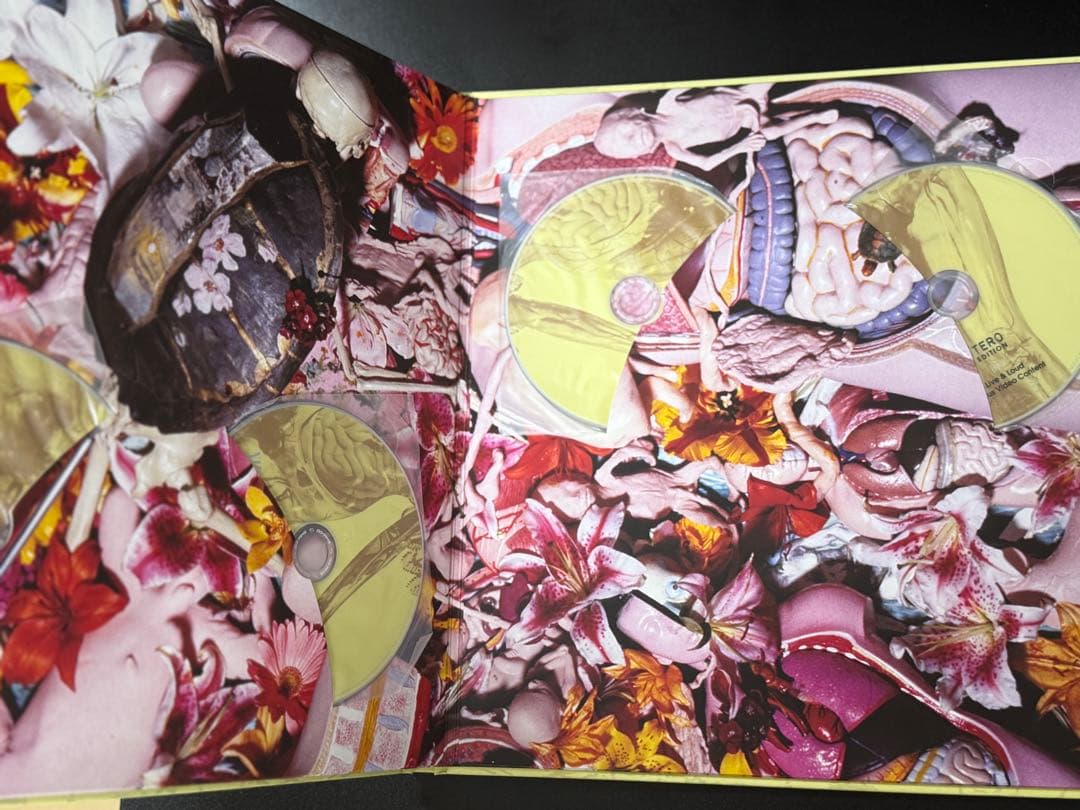 名盤NIRVANA IN UTERO 20周年記念3CD+1DVD国内盤