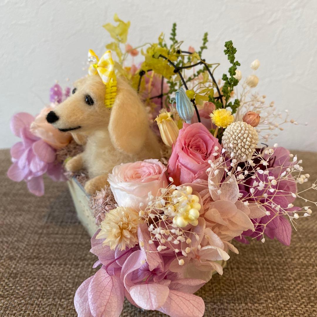 フラワーアレンジ&ダックスちゃん