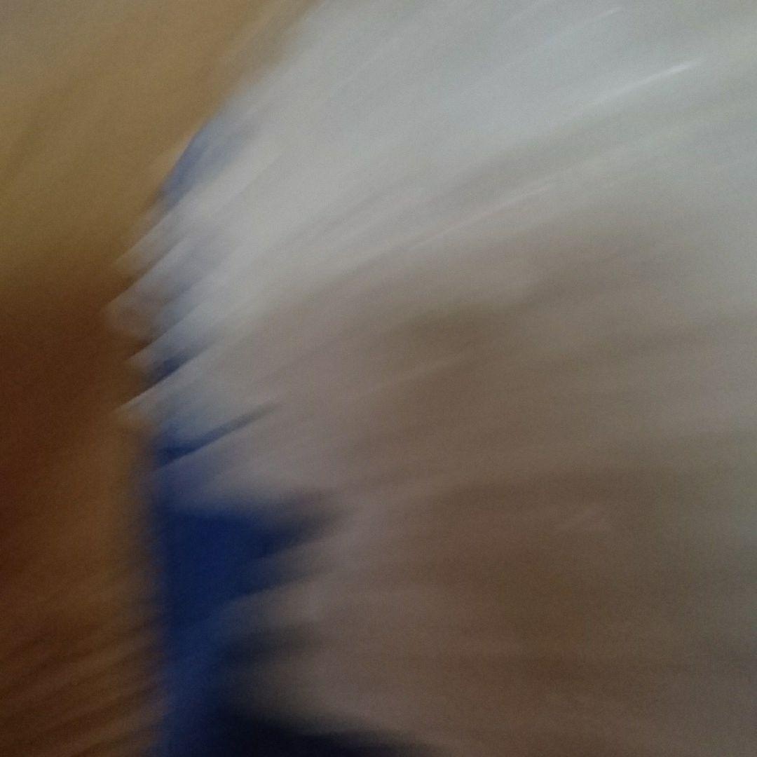 しのぶ先生 水晶