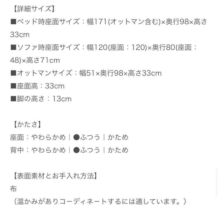 2人掛けソファー (ソファーベッド)