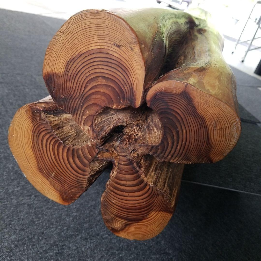 オブジェ置物《杉の珍木》☆稀少限定《四つ葉のクローバー》幸運&希望頼める便発送