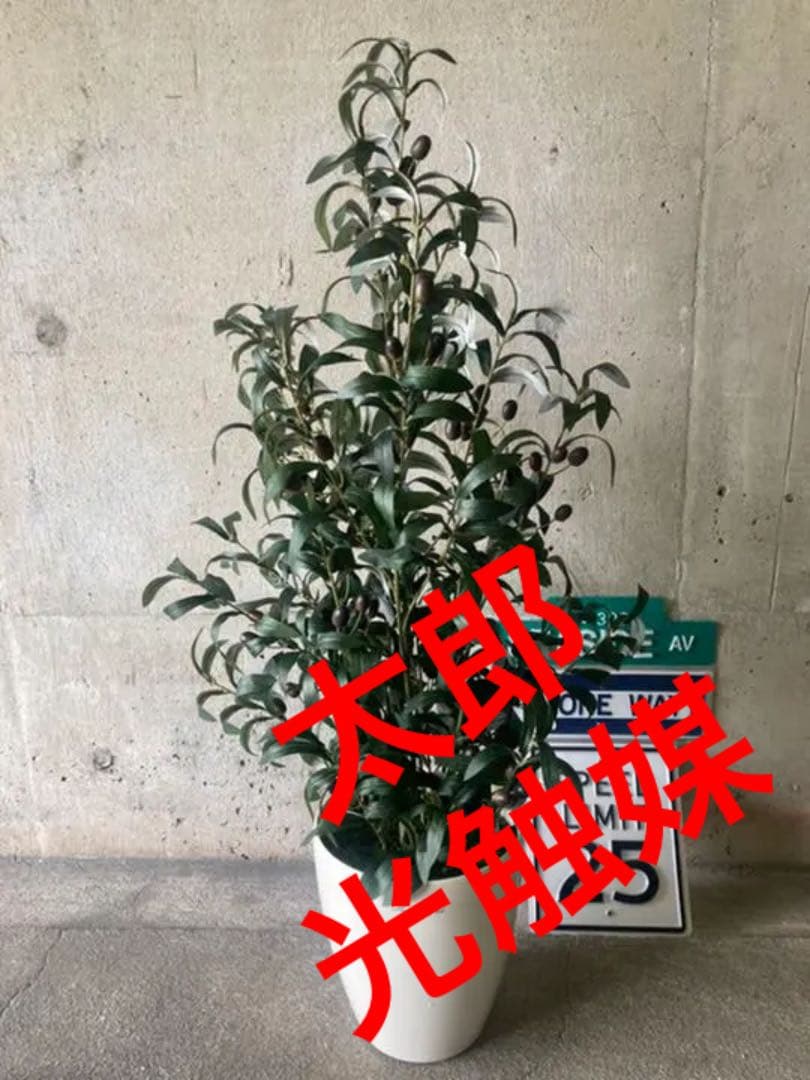 光触媒　人工観葉植物　ウォールグリーン　フェイクグリーン　オリーブ100tp
