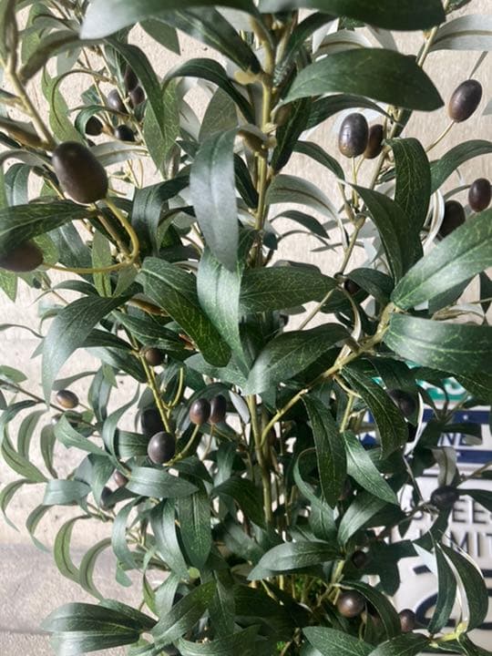 光触媒　人工観葉植物　ウォールグリーン　フェイクグリーン　オリーブ100tp