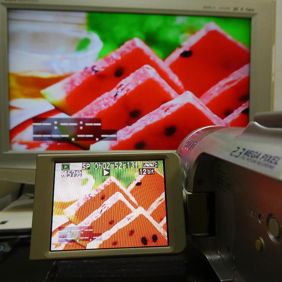 美品・動作良好 パナソニックNV-GS150 MiniDVビデオ DVD化に最適