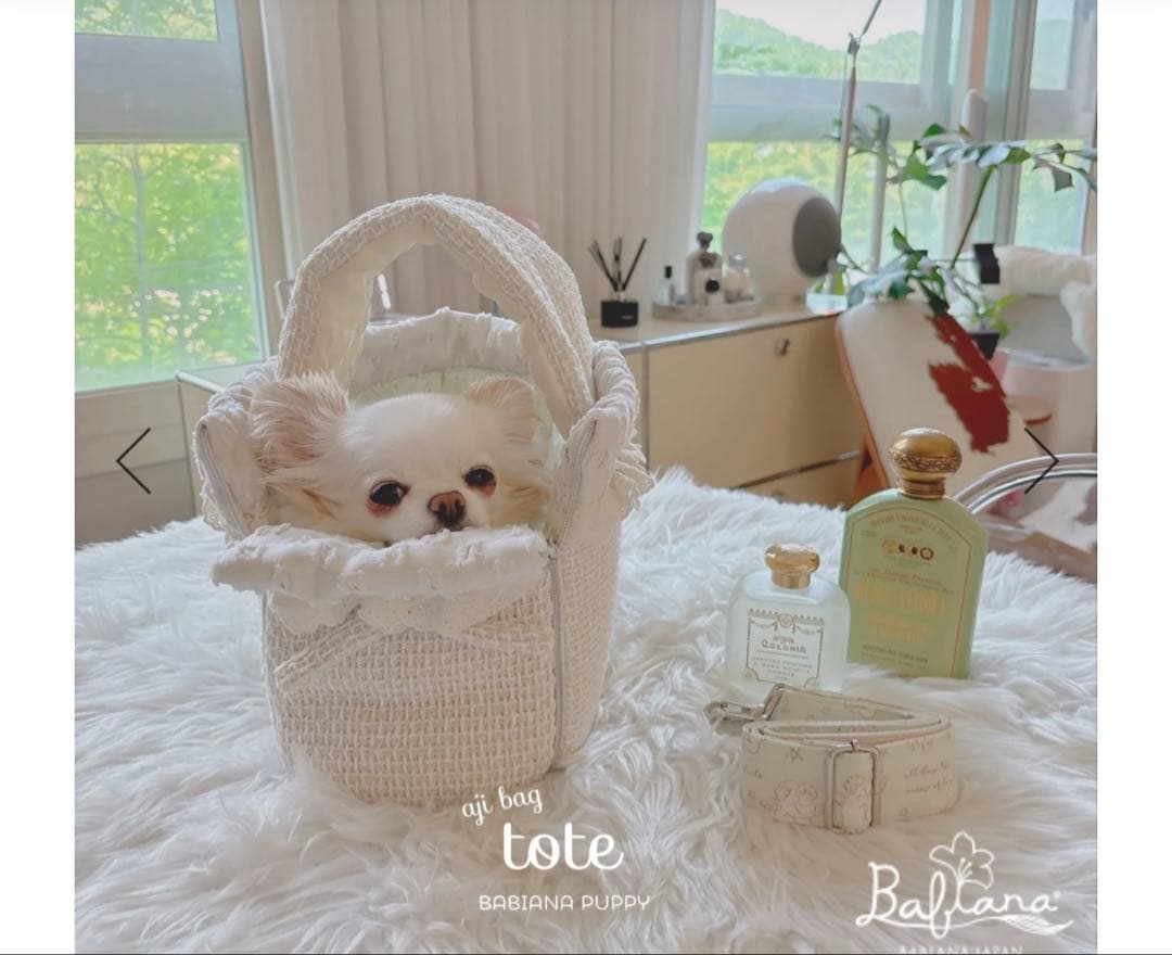 BABIANAキャリーバッグ　韓国　犬
