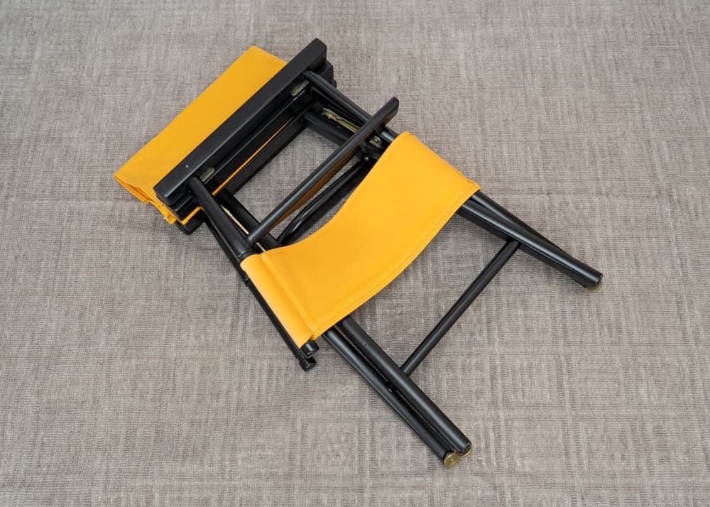 Kodak ディレクターズチェア【希少】