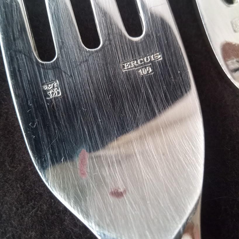 ERCUIS 100 カトラリー12点 未使用多数 専用ケース付 フランス製
