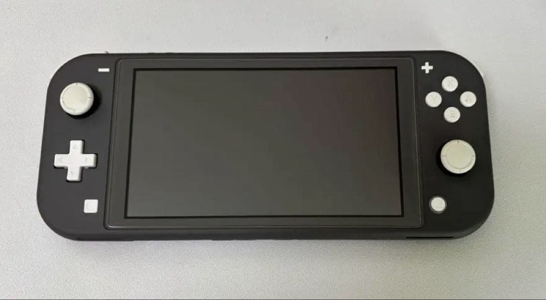 Nintendo Switch Lite グレー　※箱無し　2023年購入