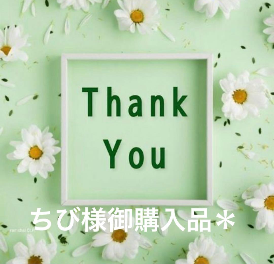 ちび様御購入品＊