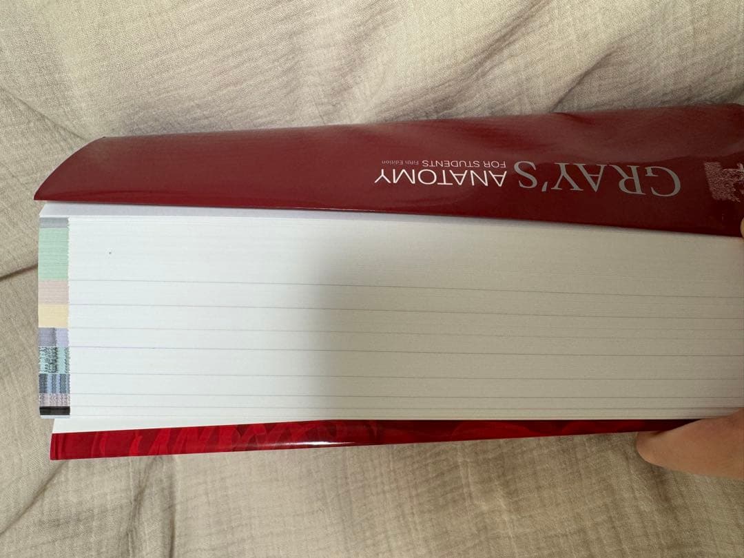 グレイ解剖学原著第5版