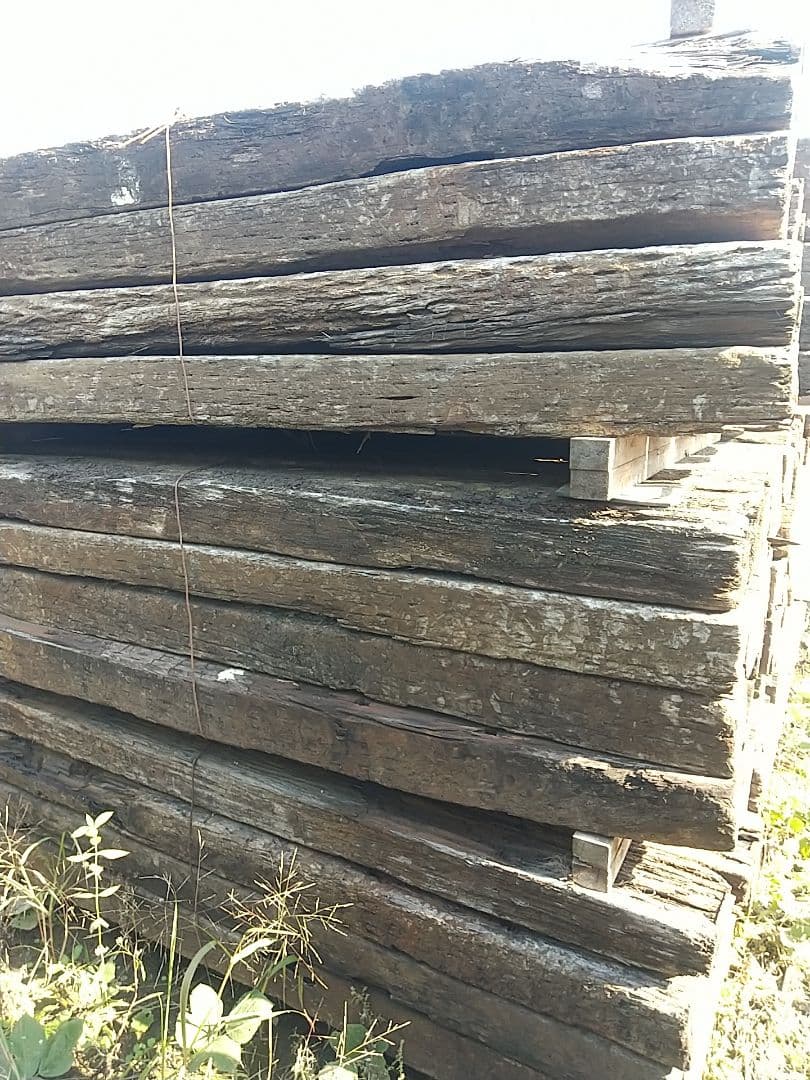 ただいま半額です！！ 40本 6級品 姶良市まで送料込みガーデニング 庭づくり