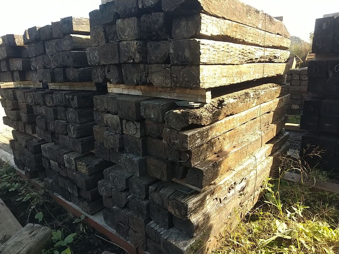 ただいま半額です！！ 40本 6級品 姶良市まで送料込みガーデニング 庭づくり