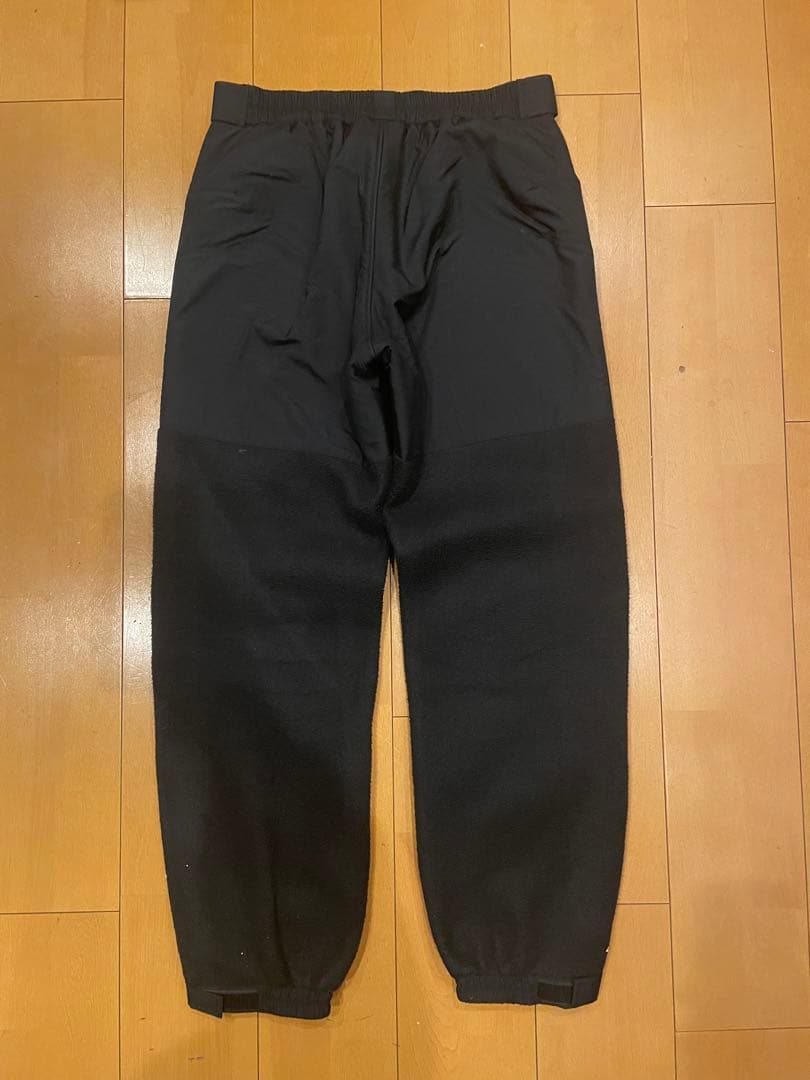 THE NORTH FACE デナリパンツ