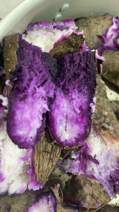 フラワー・ガーデニング Sample