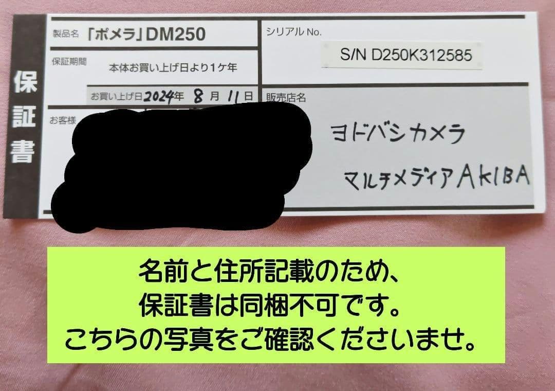 キングジム ポメラ DM250