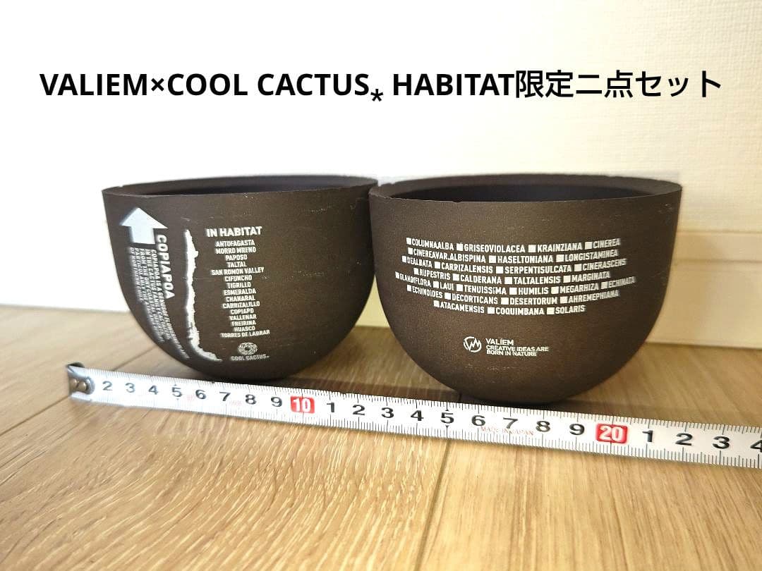 VALIEM×COOL CACTUS⁎ HABITAT限定ニ点セット バリエム