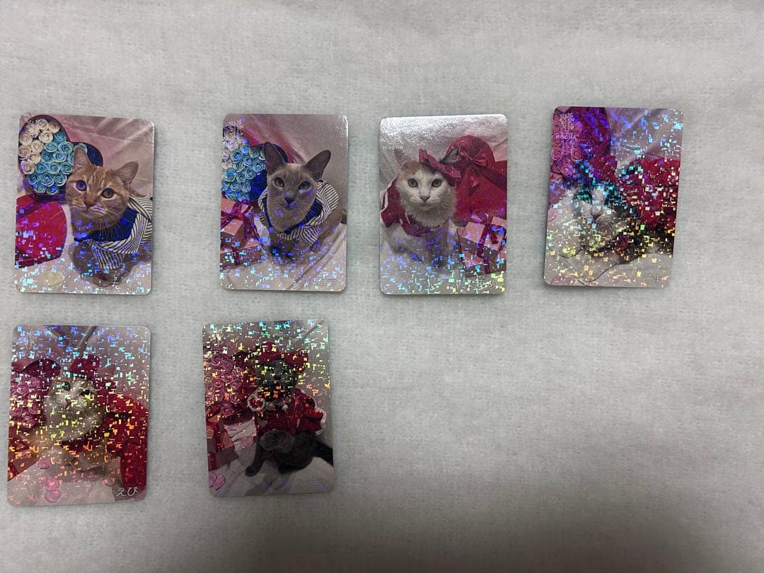 猫カフェmocha どきどきバレンタイントレカ　みなとアクルス店