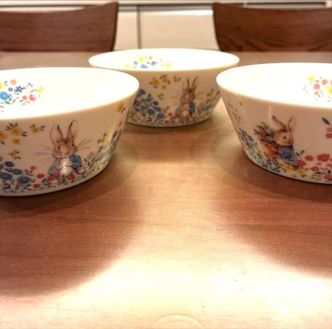 新品　未使用　ピーターラビット　陶器製　カレーパスタ皿　サラダボウル　コップ