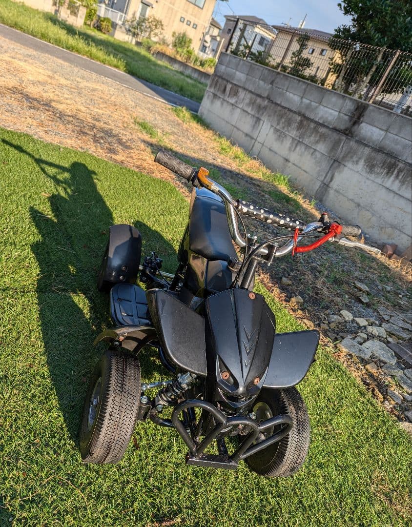 ミニ四輪バギー 50cc ポケバイ 本体 エンジン 車体 乗れる