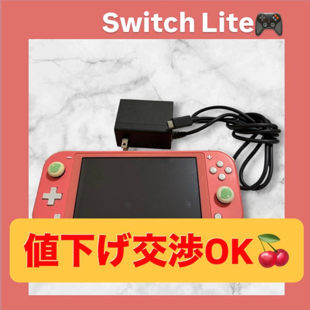 Nintendo Switch Lite 本体 充電器・SDカード付き