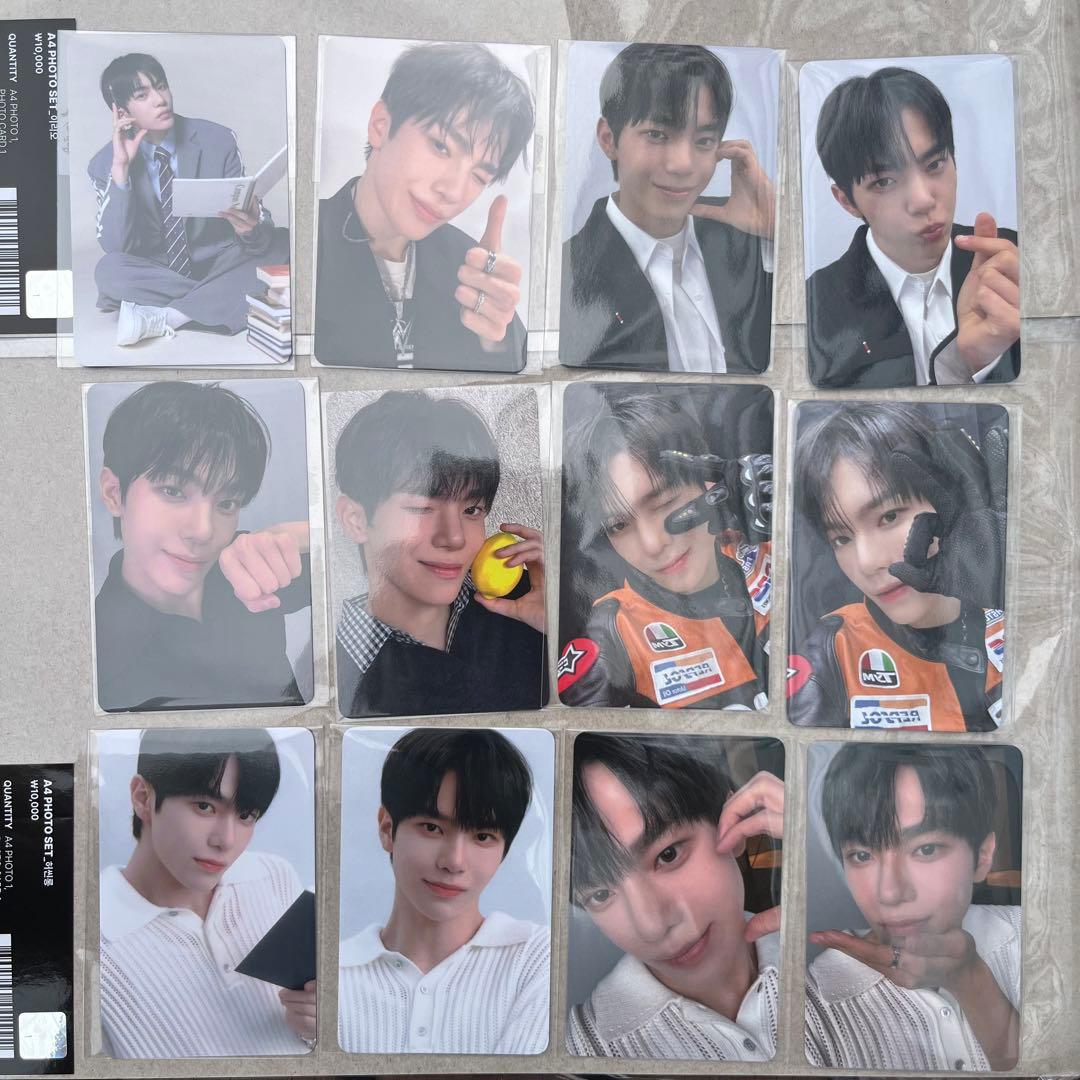 ボイプラ アーカイブ展 韓国 ドンギュ トレカ 12枚セット コンプ