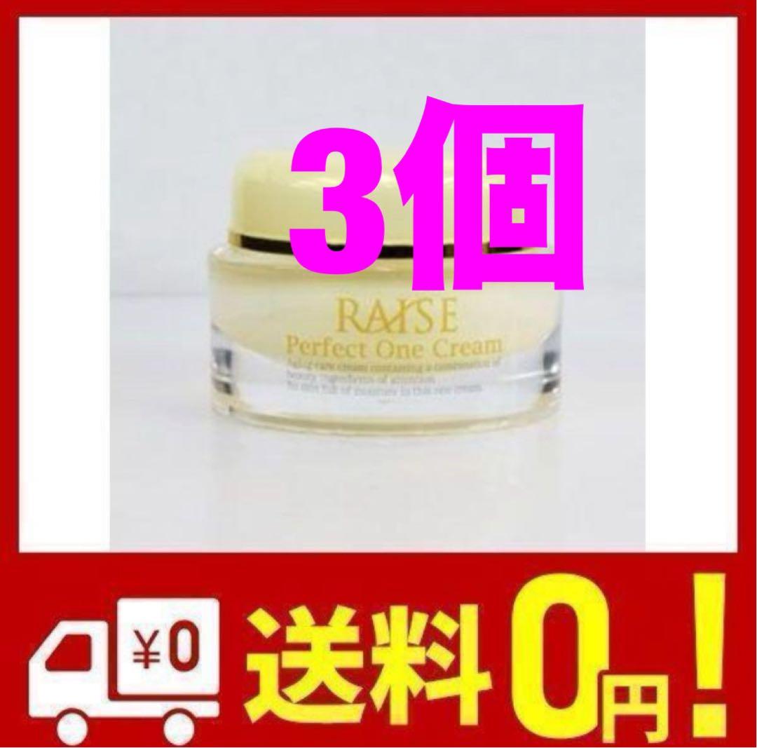 3個  RAISE レイズ パーフェクトワンクリーム オールインワン 美容液