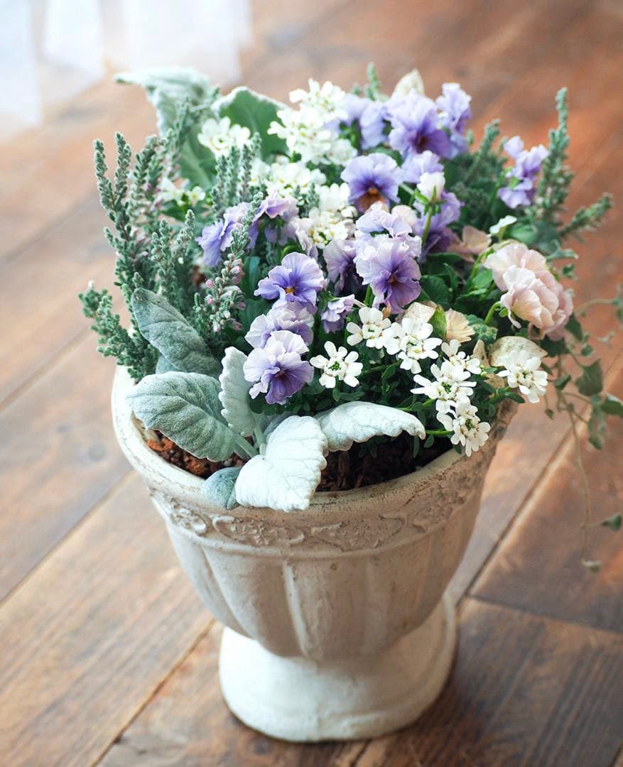 アクアレールのラグジュアリーな寄せ植え