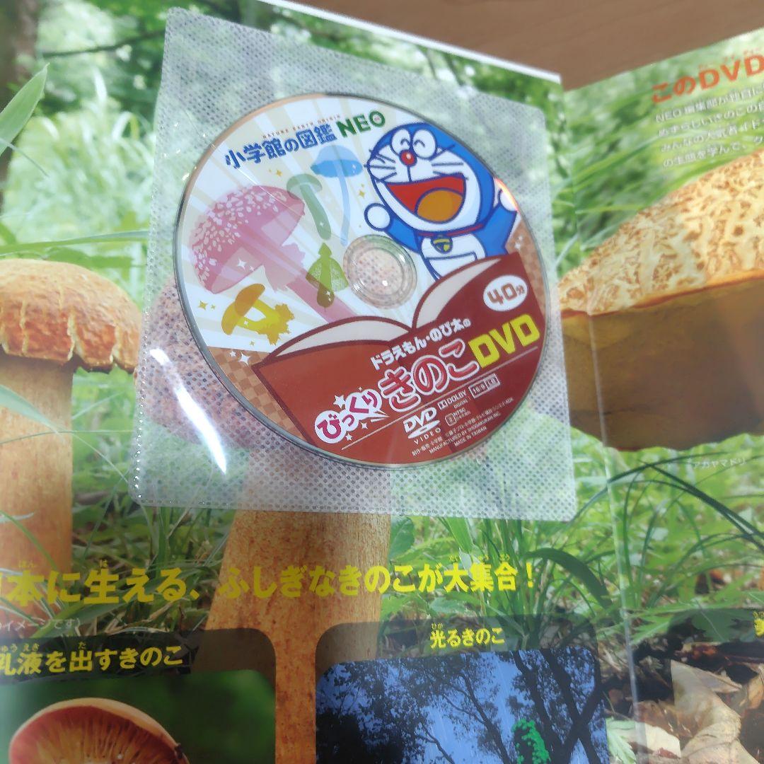 小学館の図鑑NEO 11冊セット　DVD8冊あり