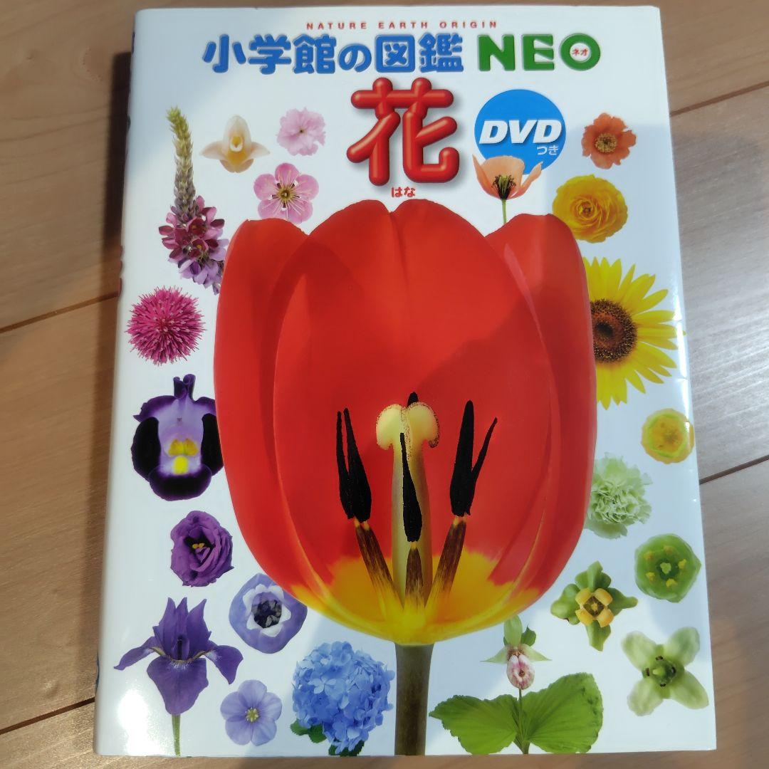 小学館の図鑑NEO 11冊セット　DVD8冊あり