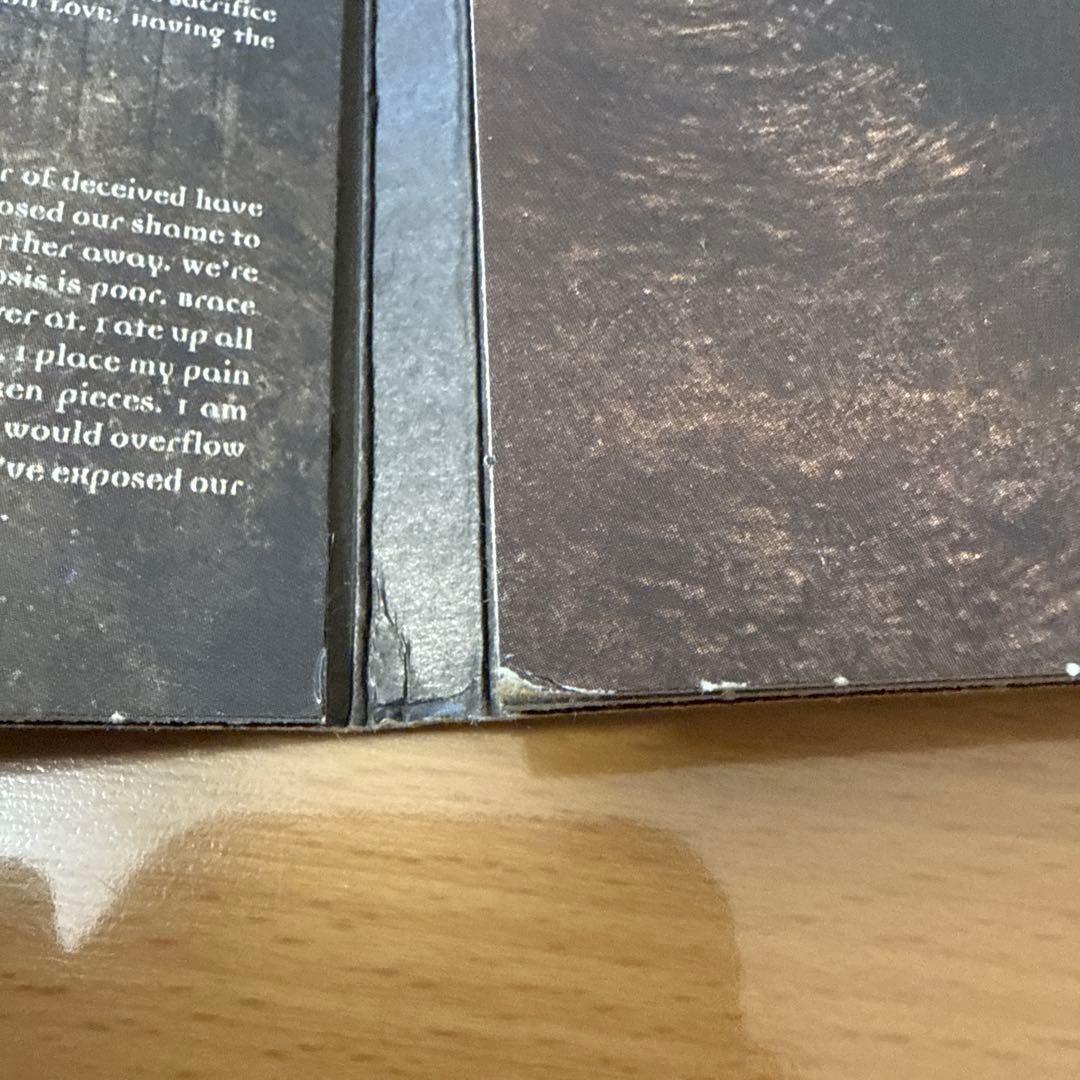 earth from above 「NUMBERED WITH THE 〜