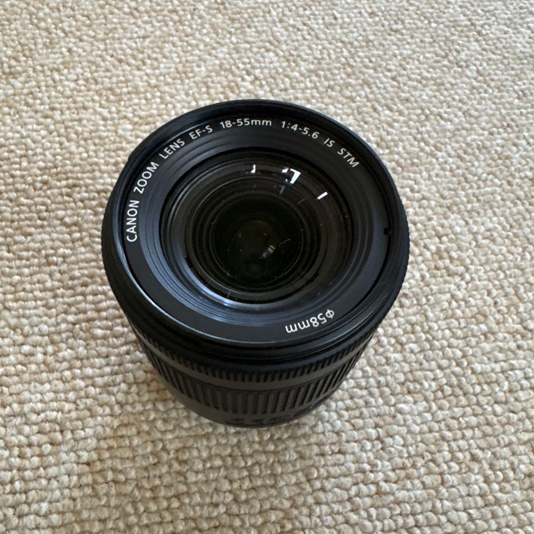 BMPCC Pocket Cinema Camera 6K Pro おまけ付き