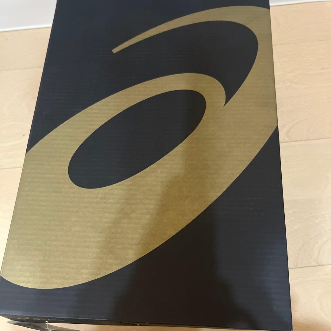 asics Dストレージ ホワイト スパイク