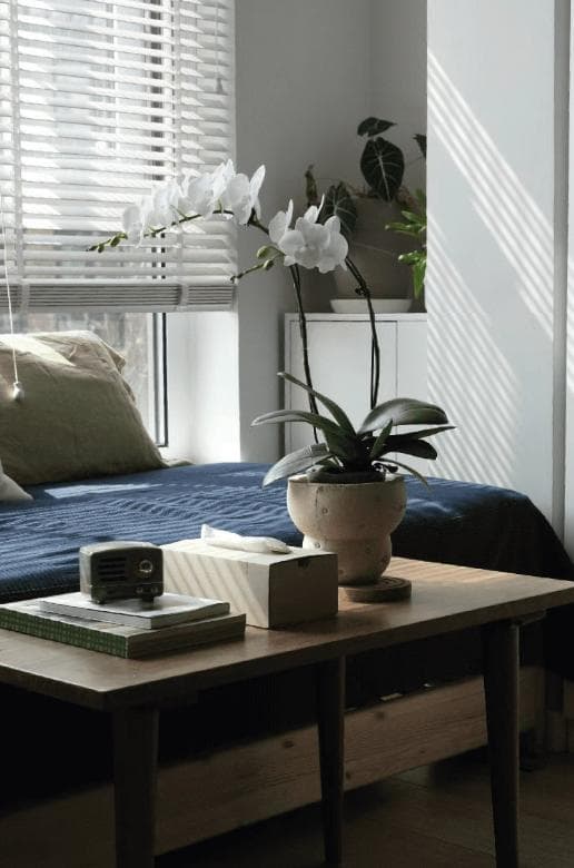 N0282 ciireals 手づくり 高品質 素焼鉢 植木鉢 通気デザイン抜群