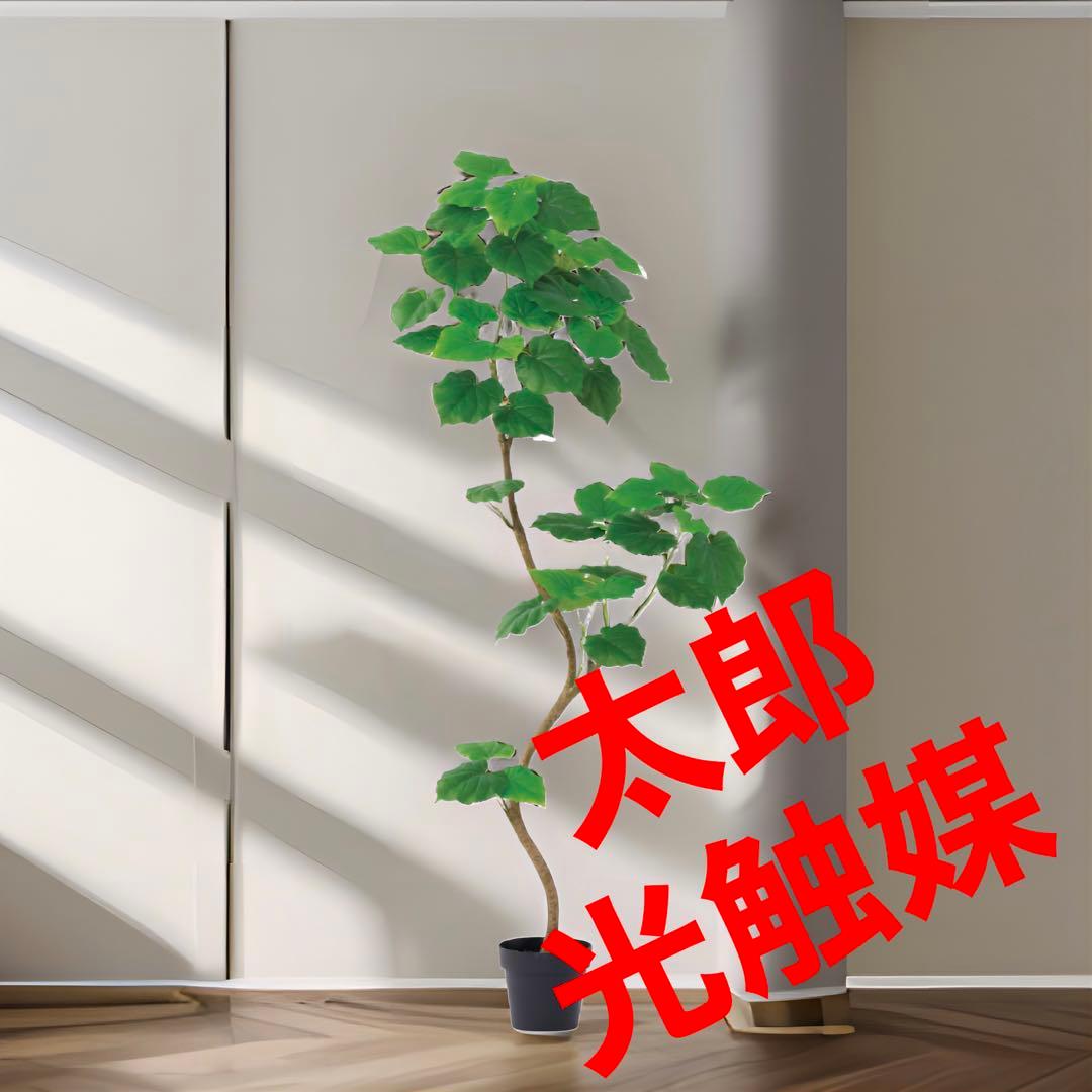 光触媒　人工観葉植物　ウォールグリーン　フェイクグリーン　ウンベラータ18080