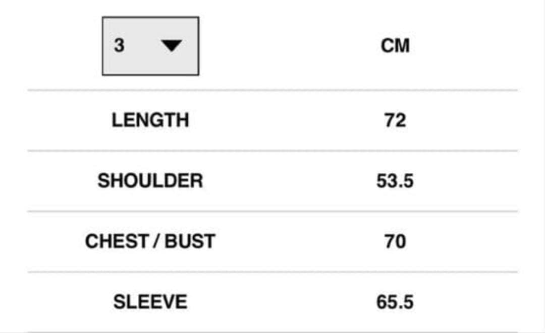 ジャケット・アウター tnypp sacai Carhartt Duck Jacket 3