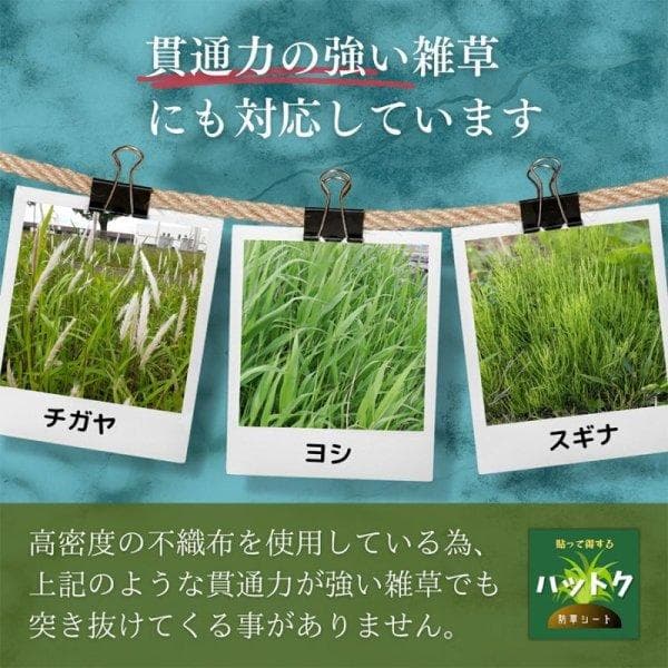 防草シート幅1m 300g/m2　1×30　耐久年数10年以上