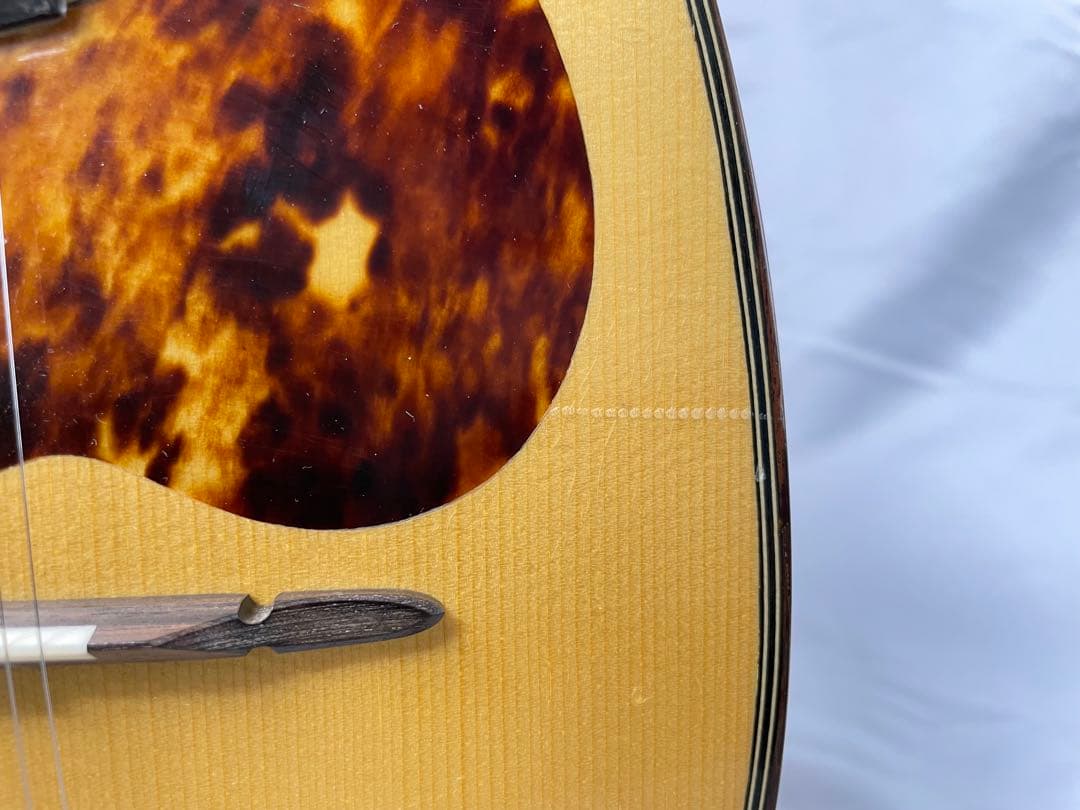 SUZUKI/スズキ クラシックマンドリン M-100