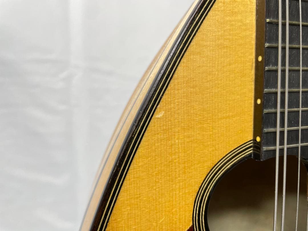 SUZUKI/スズキ クラシックマンドリン M-100