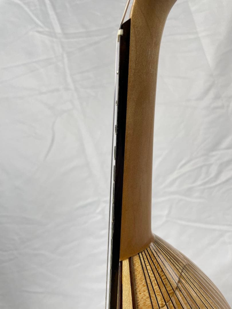 SUZUKI/スズキ クラシックマンドリン M-100