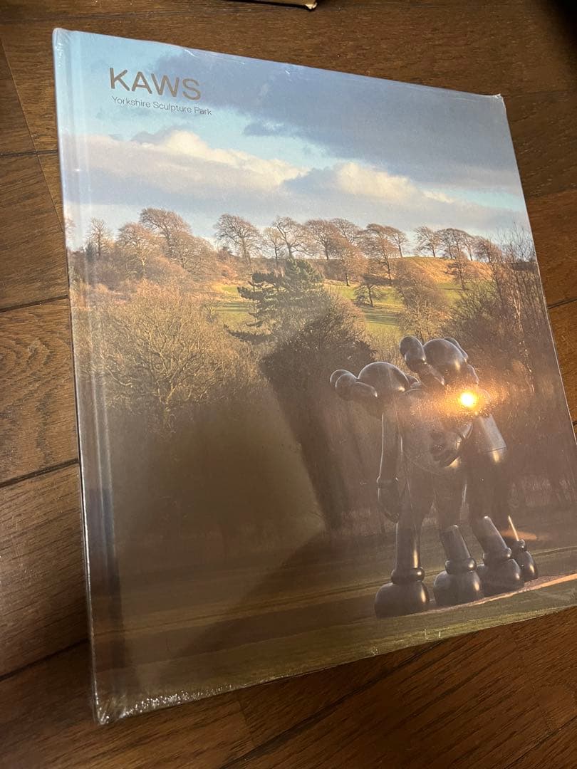 KAWS カウズ 洋書 ヨークシャー公園 写真集 作品集 現代アート カタログ