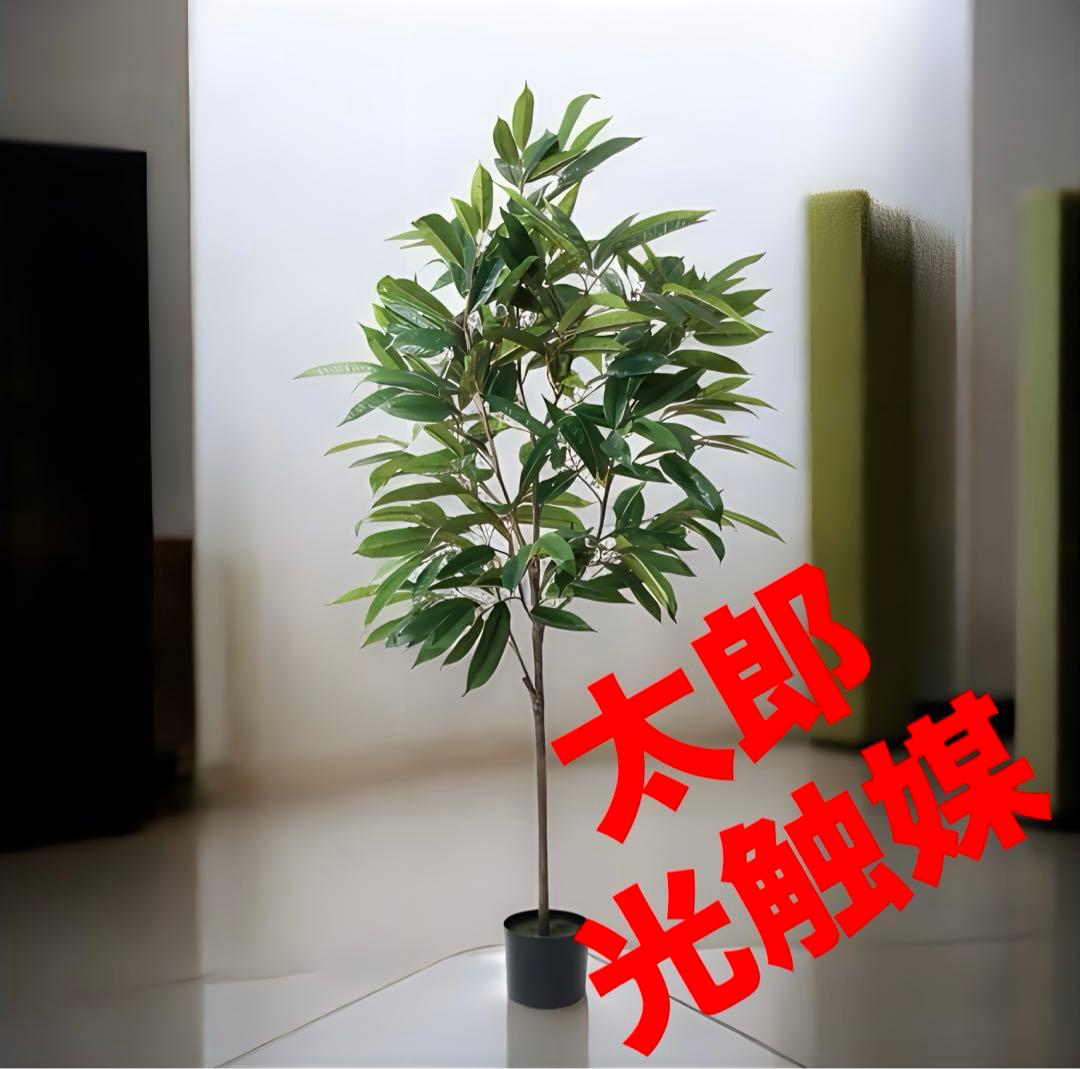 光触媒　人工観葉植物　ウォールグリーン　フェイクグリーン　ショウナンゴム180e