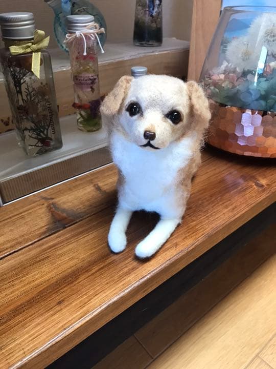 羊毛フェルト　チワックス