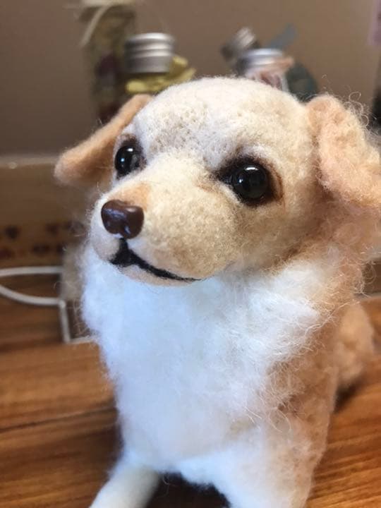 羊毛フェルト　チワックス