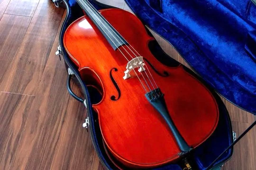 Rani スズキ 4/4サイズ チェロ/弓セット