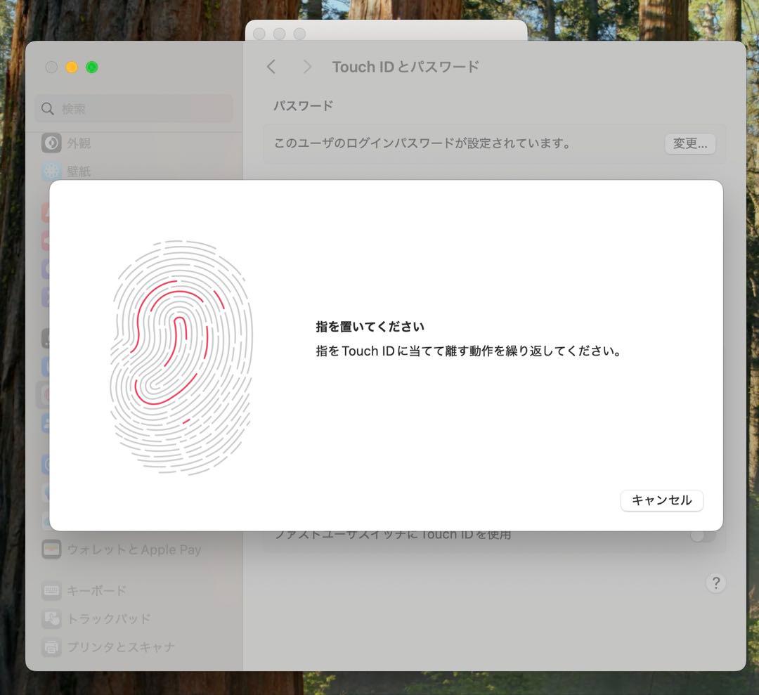 MacBook本体 Apple MacBook Pro 13 2019 i5/8GB/250GB