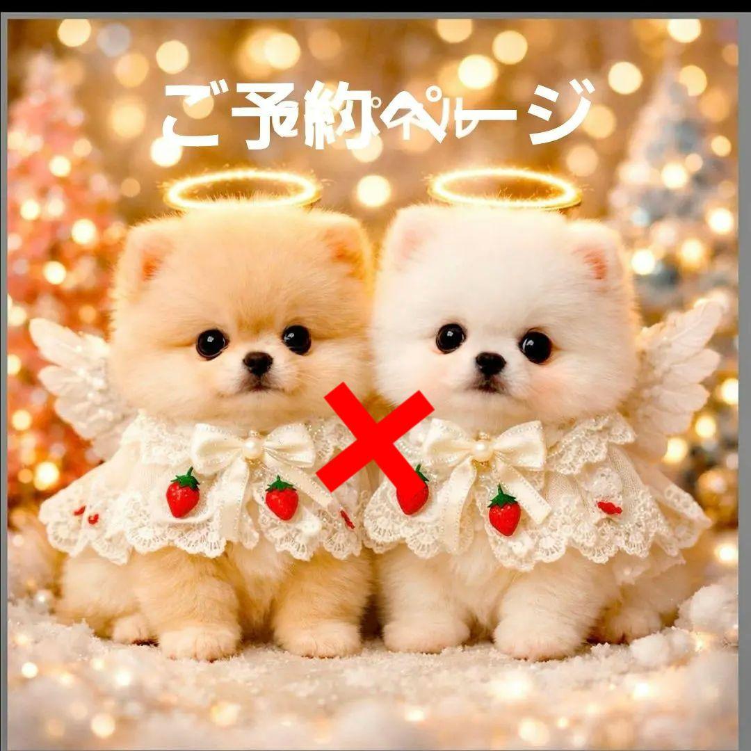 激レア天使ポメラニアン、柴犬、トイプー、マルチーズ、パグ、チワワパネル生地