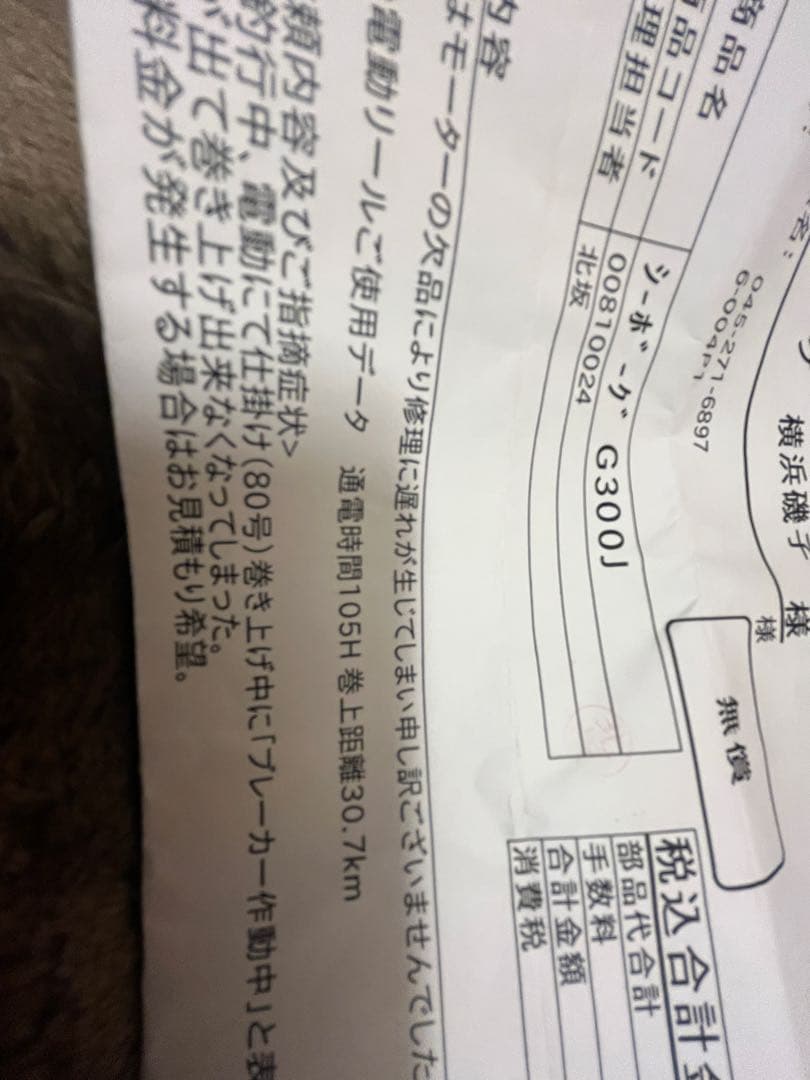 ダイワ　シーボーグ300G300J