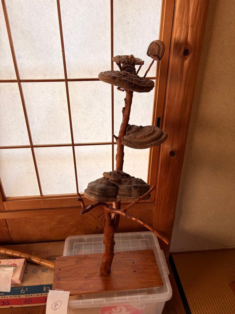 木製と貝殻の置物