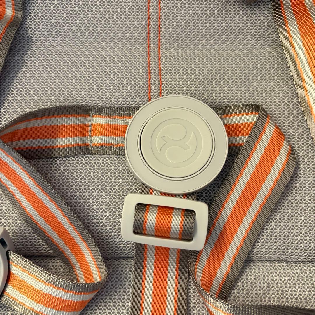 Cybex LEBELLE 2022年購入　トラベルバッグ付き